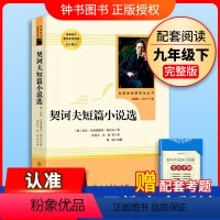 [9下名著/人教版]契诃夫短篇小说选 [正版]艾青诗选水浒传九年级上册阅读名著人民教育出版社儒林外史简爱原著完整版文学读