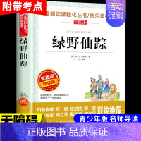 绿野仙踪 [正版]宝葫芦的秘密张天翼 适合小学生三年级四年级看的课外书上册下册阅读经典书目小学上 下学期读的书籍人民老师