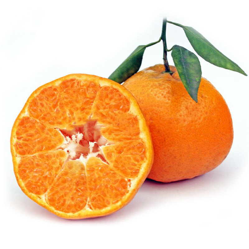 8-5斤大果精选 12个装以内 毛重5斤以上【套袋果款】新鲜水果橘子蜜桔