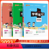 语数英套装 小学升初中 [正版]2023版学霸笔记小学语文数学英语全3册 漫画图解小升初应备 绿卡小学总复习知识大集结专