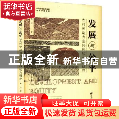 正版 发展与公平:农村劳动力空间转移动力研究 杜宇 社会科学文献