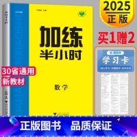 [正版]新高考2025新版加练半小时数学高考高中数学文科理科高二高三同步专项训练步步高测试卷复习练习册辅导书教辅资料书金
