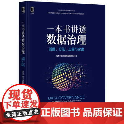 一本书讲透数据治理:战略方法工具与实践 用友平台与数据智能团队 用户画像 DAMA 标签 数据管理 著机械工业出版社 计