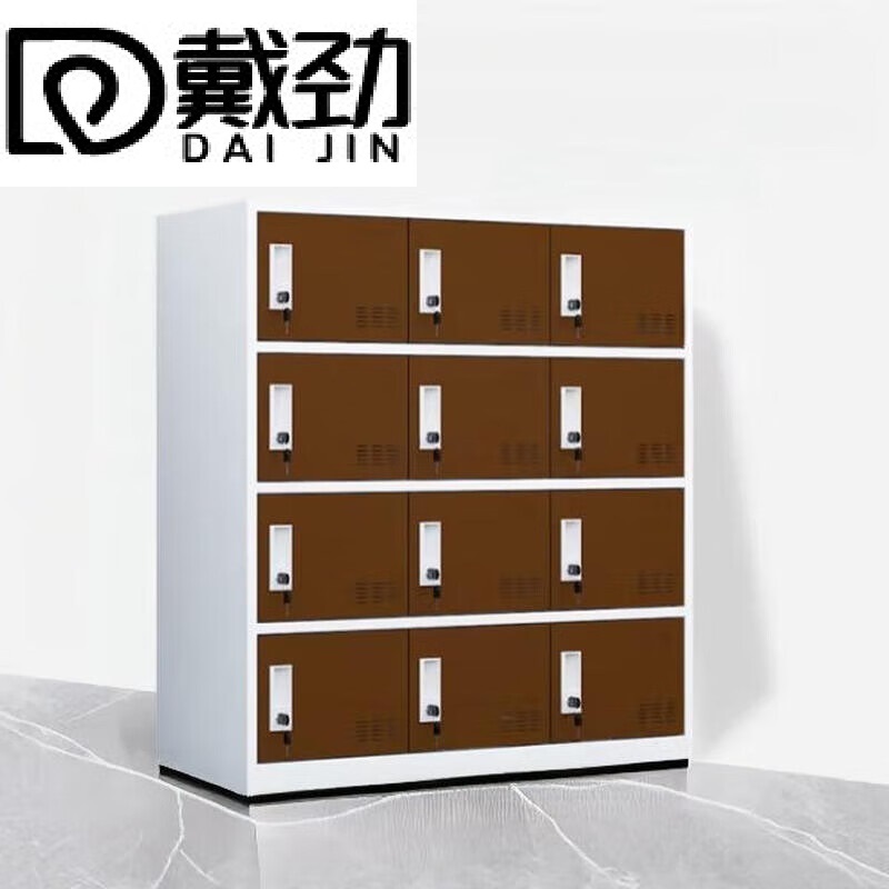 戴劲多门更衣柜带锁工具柜教室学生书包柜多格子收纳柜 白咖十二门