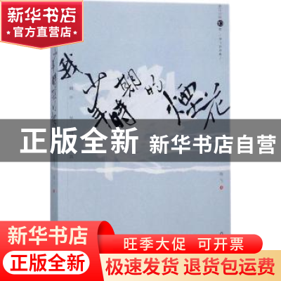 正版 我少年时期的烟花:海飞自选集 海飞著 作家出版社 978750639