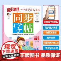 同步字帖-二年级上册