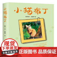 小猫布丁 一只流浪小猫的成长史 二三年级小学生阅读课外书老师 阅读