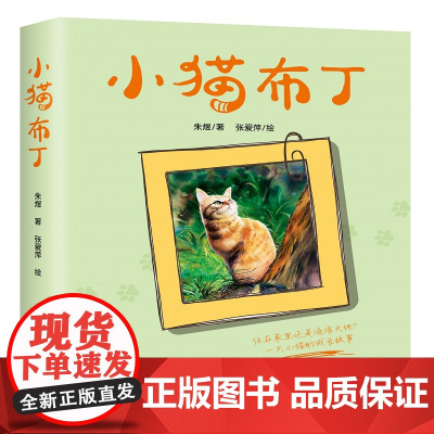 小猫布丁 一只流浪小猫的成长史 二三年级小学生阅读课外书老师 阅读