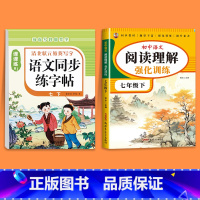 [七下]语文同步字帖+阅读理解 七年级/初中一年级 [正版]2025版七年级语文字帖下册上册同步人教版初中生八九初一钢笔
