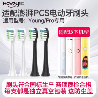 适配荷兰澎湃电动牙刷头Pro/Young儿童pp801荷兰PCS替换刷头