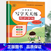 语文字帖(上册) 小学四年级 [正版]小学生同步练字帖语文+英语 四年级上册下册人教版PEP 硬笔书法钢笔字贴每日一练正