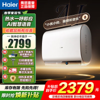 海尔(Haier)[AI语音BK30]电热水器60升 国家补贴15%双胆扁桶净水3300W速热 语音交互