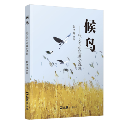正版新书]候鸟张文龙著 著9787549645381