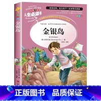 金银岛 [正版]金银岛 书 原著 史蒂文森 世界经典名著 小学生三四五六年级必读课外阅读书籍故事人民青少年儿童版文学读物