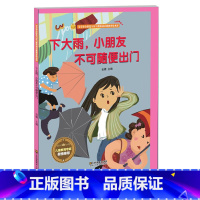 下大雨小朋友不可随便出门 [正版]雾霾天气宝宝要注意保护好自己台风来了不要外出注意安全等 宝宝安全防范与好习惯养成启蒙教