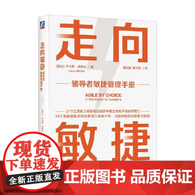 走向敏捷 卢卡斯·米歇尔 著 管理