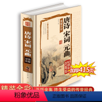 [正版]彩绘精装唐诗宋词元曲 图解详析全彩图全解 传统文化中小学生教辅课外书书籍 青少年读物书籍图书加厚精装大本