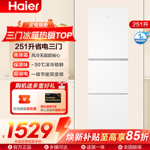 海尔(Haier) 251升 风冷无霜 一级变频 健康保鲜冰箱BCD-251WGHC3E7WV
