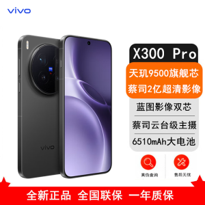 [全新]vivo X300 Pro 纯粹黑 12GB+256GB 蓝晶×天玑9500芯 大电池 90W快充 支持无线充电 蔡司超级潜望长焦 拍照 AI手机