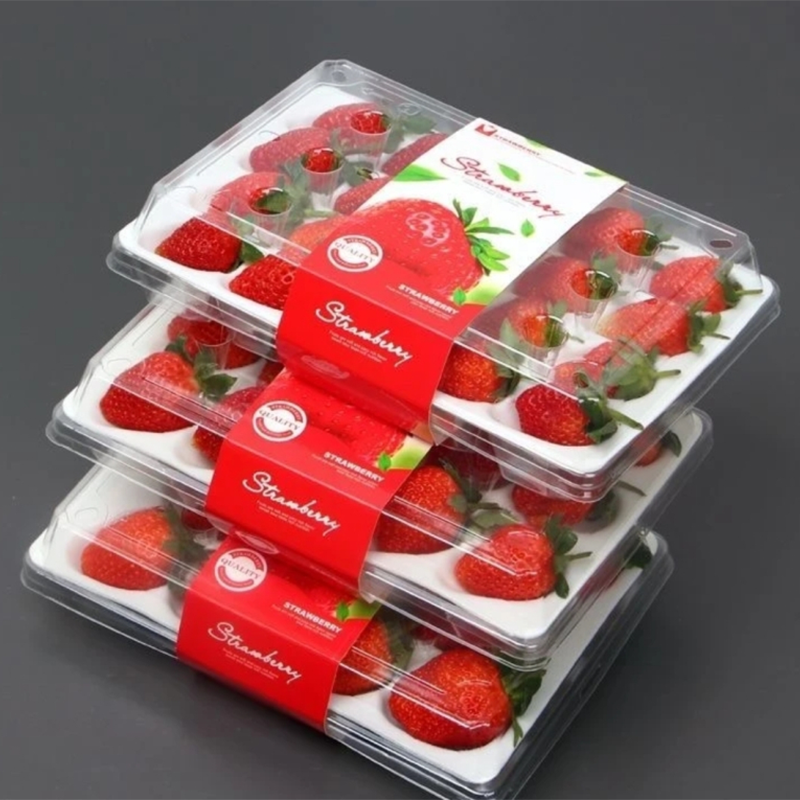 顺丰快递[苏鲜生]彩箱装 四川 正宗大凉山草莓大果单果25g左右 净重2.4斤 (300g*4)吸塑盘 新鲜水果