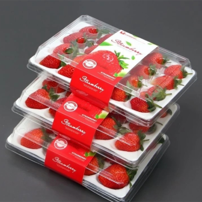 顺丰快递[苏鲜生]彩箱装 四川 正宗大凉山草莓大果单果25g左右 净重2.4斤 (300g*4)吸塑盘 新鲜水果