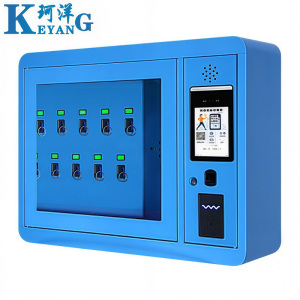 珂洋 智能钥匙柜 10位挂壁式 台