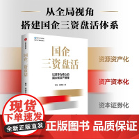 国企三资盘活 以资本为核心的国企新资产管理 黄乐 林德良 著 国企转型资产管理 中信出版社