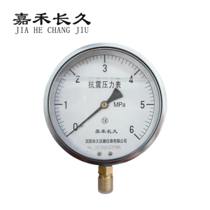 嘉禾长久 耐震压力表检测型 YTN150 块