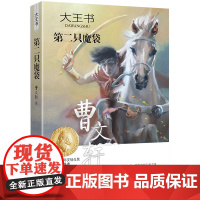 大王书:第二只魔袋