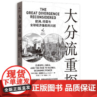 大分流重探(欧洲印度与全球经济强权的兴起)/经济史与思想