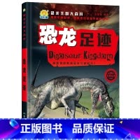 恐龙足迹 [正版]恐龙王国大百科全10册 恐龙王国时代档案家族探索图鉴 足迹恐龙大世界 彩图注音版探秘恐龙 5-12岁