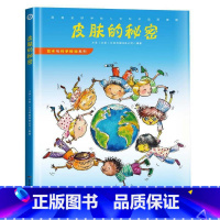 皮肤的秘密 [正版]发现天才皮肤的秘密生命中不能承受之温暖我们为什么要学习艺术与科学探知系列12册精装绘本系列的创意教程