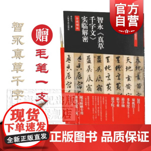 智永真草千字文实临解密 碑帖名品全本实临系列全视频版翁志飞著上海书画出版社书法艺术篆刻字帖书籍