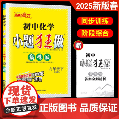 2025春恩波教育初中化学小题狂做 九年级下册巅峰版 全国通用 中学教辅初中9年级初三苏教版资料辅导书同步课时训练习册九