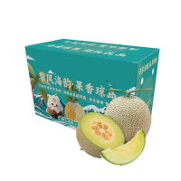 礼盒装[苏鲜生]网纹蜜瓜 净重4.5斤 1-4个 冰淇淋新鲜水果当季哈蜜瓜