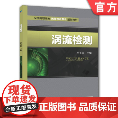 正版 涡流检测 岳玉国 9787111474630 机械工业出版社 教材