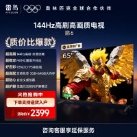 雷鸟鹏6 24款 65英寸电视 家电国家补贴 3+64GB电视机65S375C-JN