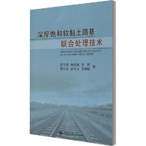 正版新书]深厚饱和软黏土路基联合处理技术黄生根9787562548140