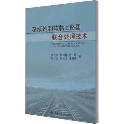 正版新书]深厚饱和软黏土路基联合处理技术黄生根9787562548140