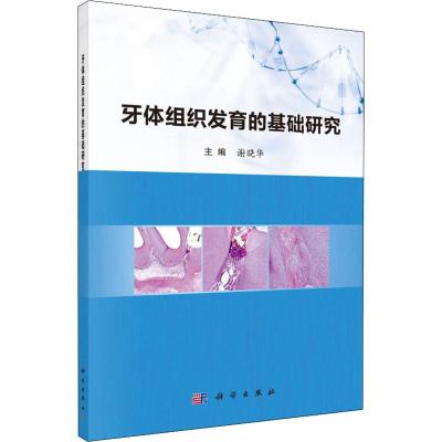 牙体组织发育的基础研究