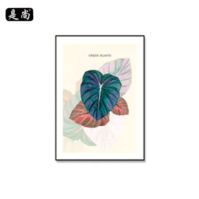 是尚 挂画装饰画 含安装 50*70cm/副