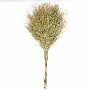 豫众诺 扫帚 大号 把