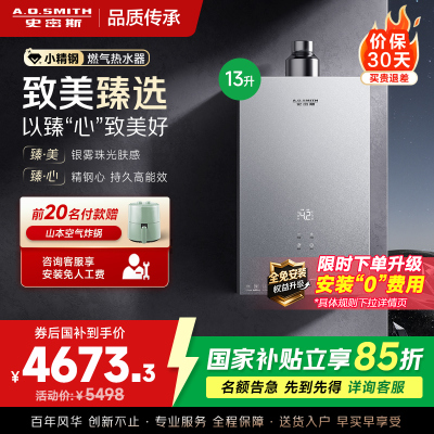 AO史密斯新品小体积13升精钢燃气热水器[小精钢EC5]静音 持久恒温 天然气 JSQ26-EC5