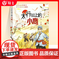 太行山上的小鹰 红色经典励志儿童读物 徐鲁 新蕾出版 社抗日小英雄热血故事内配阅读地图爱国新时代少年fb暑假阅读