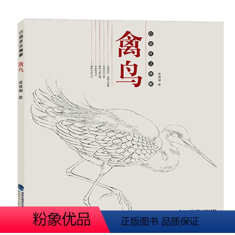 [正版]白描技法精解禽鸟 工笔画白描勾线画谱临摹绘画初学者入门到精通基础教程 国画写意草虫禽鸟工笔花鸟画白描底稿线描