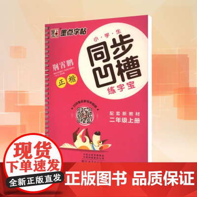 小学生同步凹槽练字宝 二年级上册 荆霄鹏 著 小学教辅文教 正版图书籍 河南美术出版社