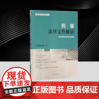 刑事法律文件解读2024.9总第231辑 人民法院出版社