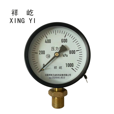 祥屹 风表(压力表) Y100 1.6级 块