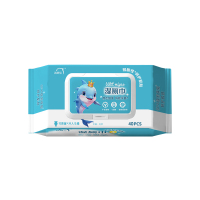 洗得宝 湿厕巾 40片/包 杀菌清洁厕所纸湿厕纸