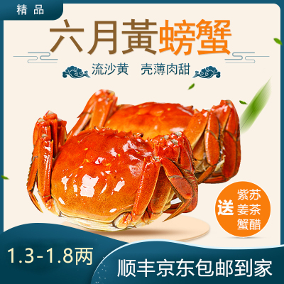 苏州精品大闸蟹鲜活六月黄螃蟹河蟹1.5两8只装公母随机大螃蟹鲜甜满黄直达到家死蟹包赔